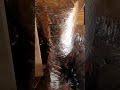 Air in the Attic!