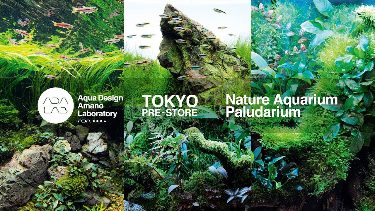 ADAview] ADA LAB TOKYO PRE-STORE オープン - YouTube