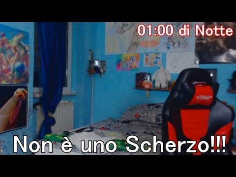 Video: Il cane della polizia ha rivelato un'abilità incredibile in Gran Bretagna