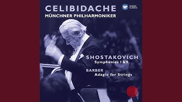 Symphony No. 1 in F Minor, Op. 10: I. Allegretto - Allegro non troppo