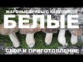 БЕЛЫЕ ГРИБЫ ЖАРЕНЫЕ С КАРТОФЕЛЕМ. СБОР ГРИБОВ. ПРИГОТОВЛЕНИЕ. РЕЦЕПТЫ СЮФ