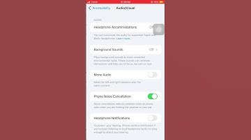 How To Turn Off Flash Light Notification For incoming Calls On iphone ? #shorts #youtubeshorts