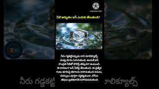 Most Interesting Facts In Telugu ✨ Amazing Facts In Telugu #unknownfactstelugu #factsintelugu #facts