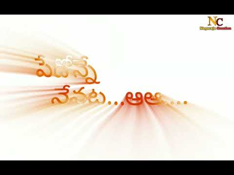 pedonne nenata premaku sariponata //new love failure full song//lyrics//dhilipdevgan// black screen