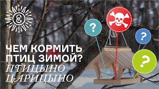 Чем кормить птиц зимой? Птицыно Царицыно.