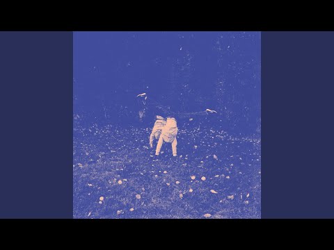 Asa - Hampaat