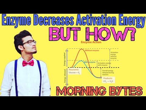 Video: Puas yog substrate ib qho enzyme?