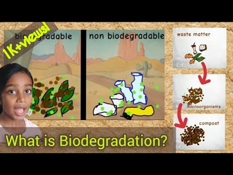 生分解とは何ですか？ |生分解性および非生分解性材料|最後に舞台裏のNG集🤪🤫🙈