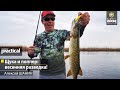 Щука и поппер: весенняя разведка! Алексей Шанин.  Anglers Practical