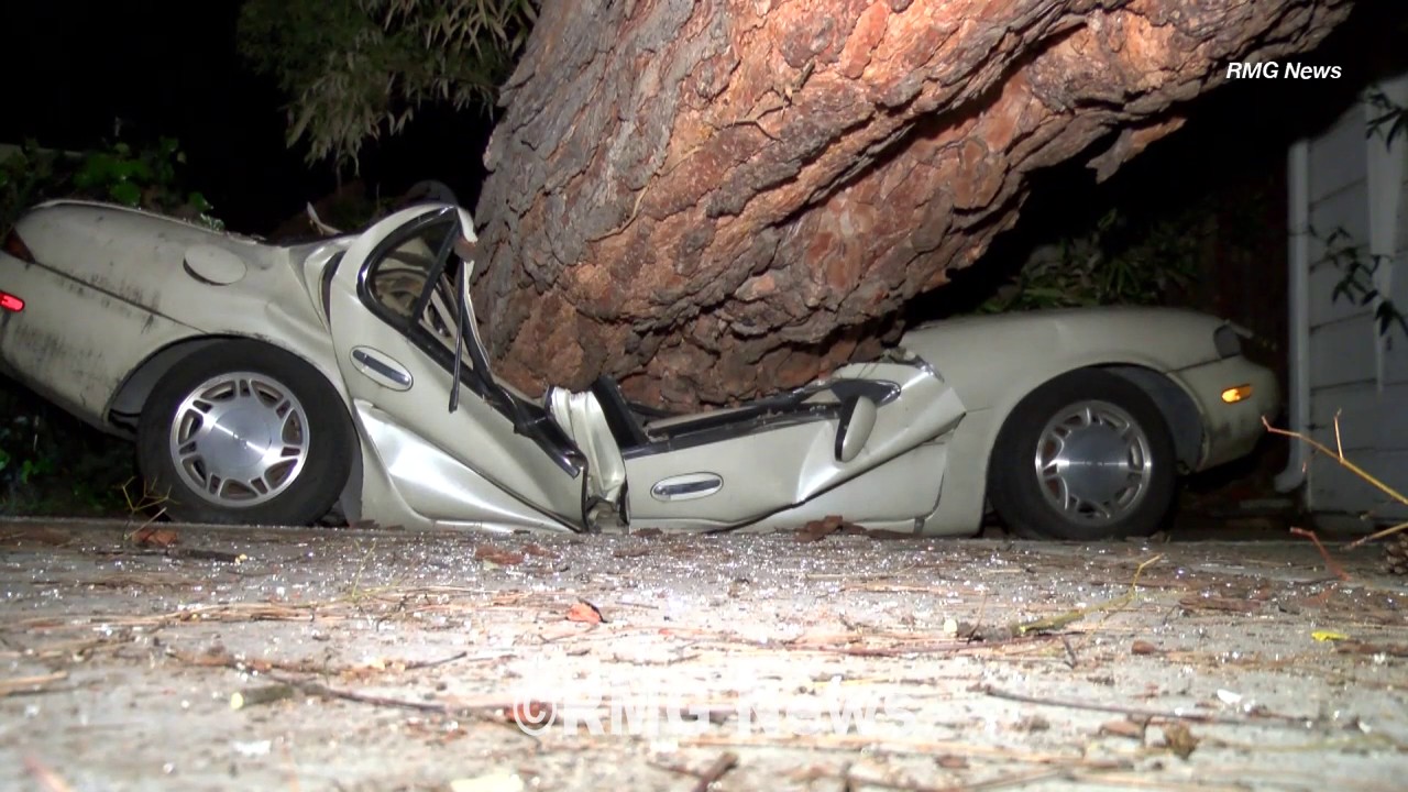 Large tree crushes a car and garage in Pasadena, California. - YouTube