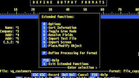 FilePro - Chapter 7 - Define Output - Forms