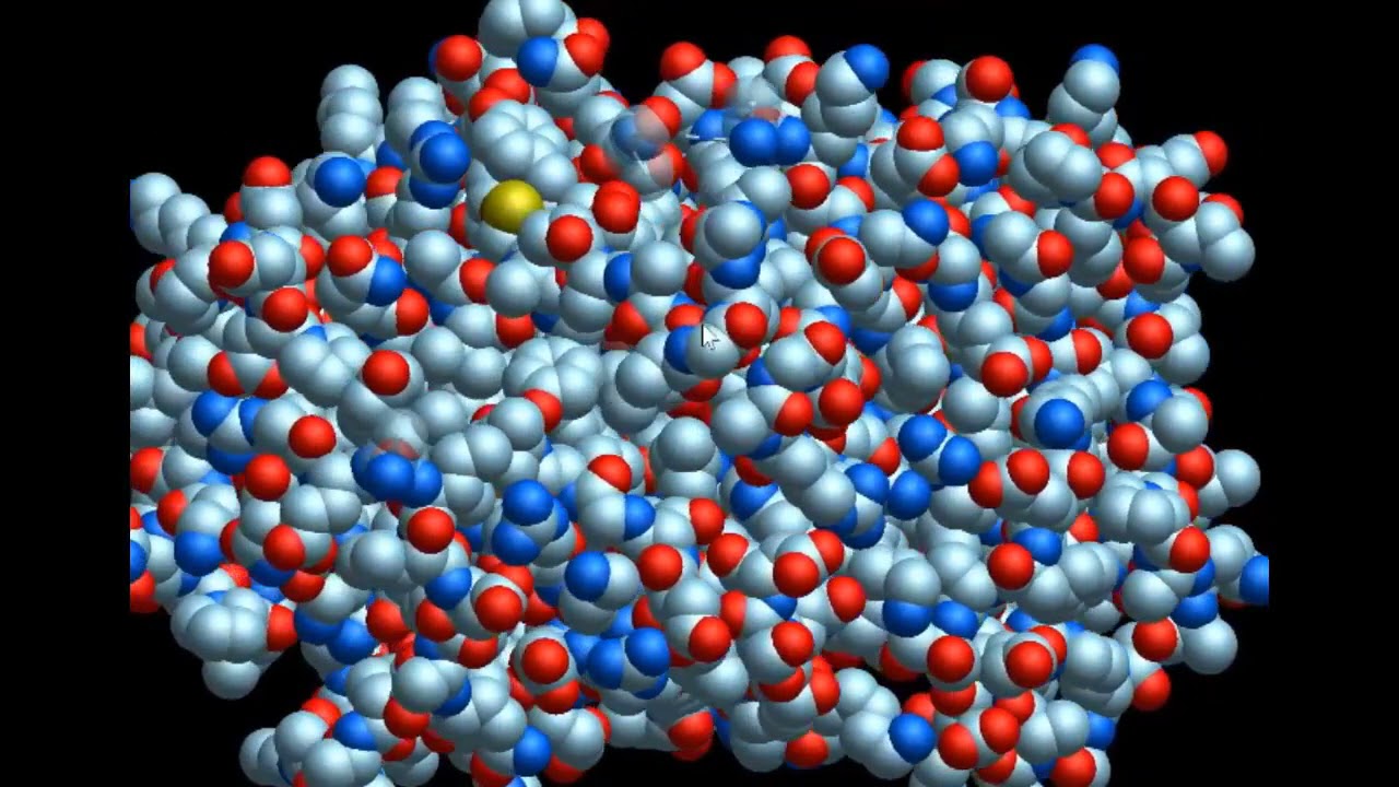 Outline Video Polyphenol Oxidase PPO