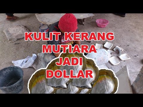 Changing Pearl Shells - [Sprinkled] - Into Dollar Series 1 Sheet