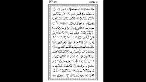 الشيخ أبوبكر مومني صلاة التراويح 11 رمضان 1430 هـ I ما تيسر من سورة الحجر 3