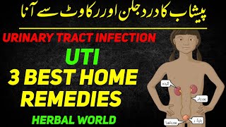 Urinary Tract Infection | Overview (signs and symptoms | pathophysiology | causes and treatment |