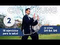 SHIBASHI 2 de 3 | 18 ejercicios de CHI KUNG para la salud