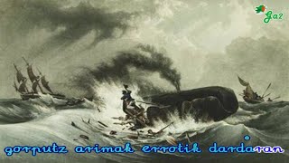 Bale ihizi (Gibelurdinek)