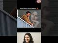 Vijay ❤️ Sangeetha — அழகான Couple Moments 🥰 |Thalapathy Vijay Wife Status|#shorts #Vijay #thalapathy