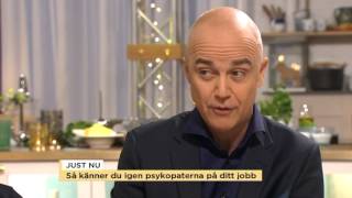 Så känner du igen en psykopat på arbetsplatsen - Nyhetsmorgon (TV4)