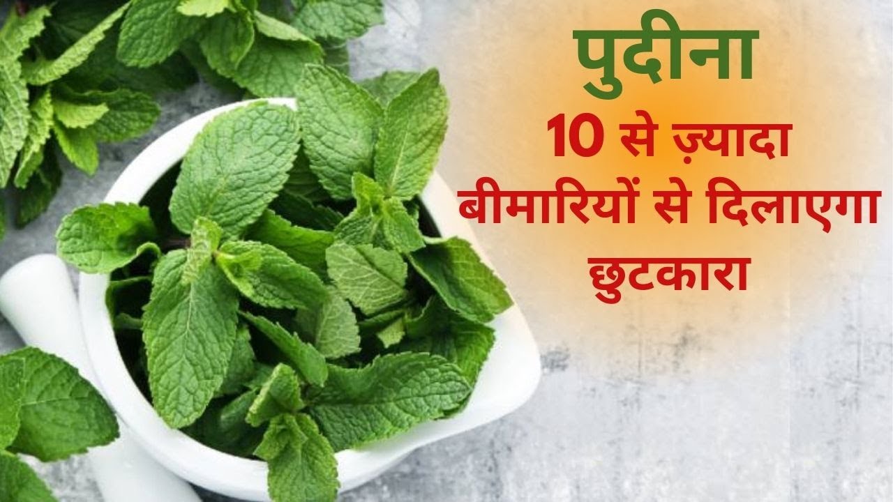 Pudina Health Benefits इस तरीके से खाएं पुदीना 10 से ज़्यादा बीमारियों