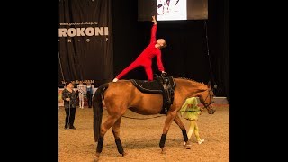 Первенство МО по вольтижировке