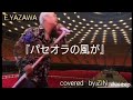 矢沢永吉  /『  パセオラの風が  』 【弾き語り】/矢沢永吉 カバー/歌詞有り