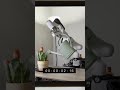 #Axis AI - обучаем роботов #testnet#AI#ИИ