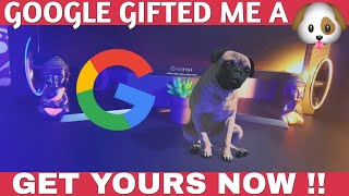 Google Gifted me a PUPPY PUG !! screenshot 5