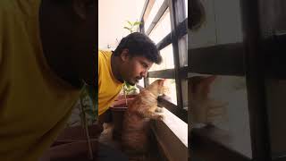 Neighbours Fight Was Always Interesting