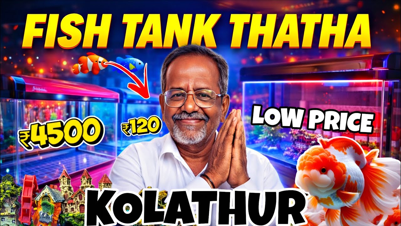 Бюджетный тур в аквариум на рыбный рынок Колатхур 🐠 | Аквариум 🤠 | Лучшие цены 🔥