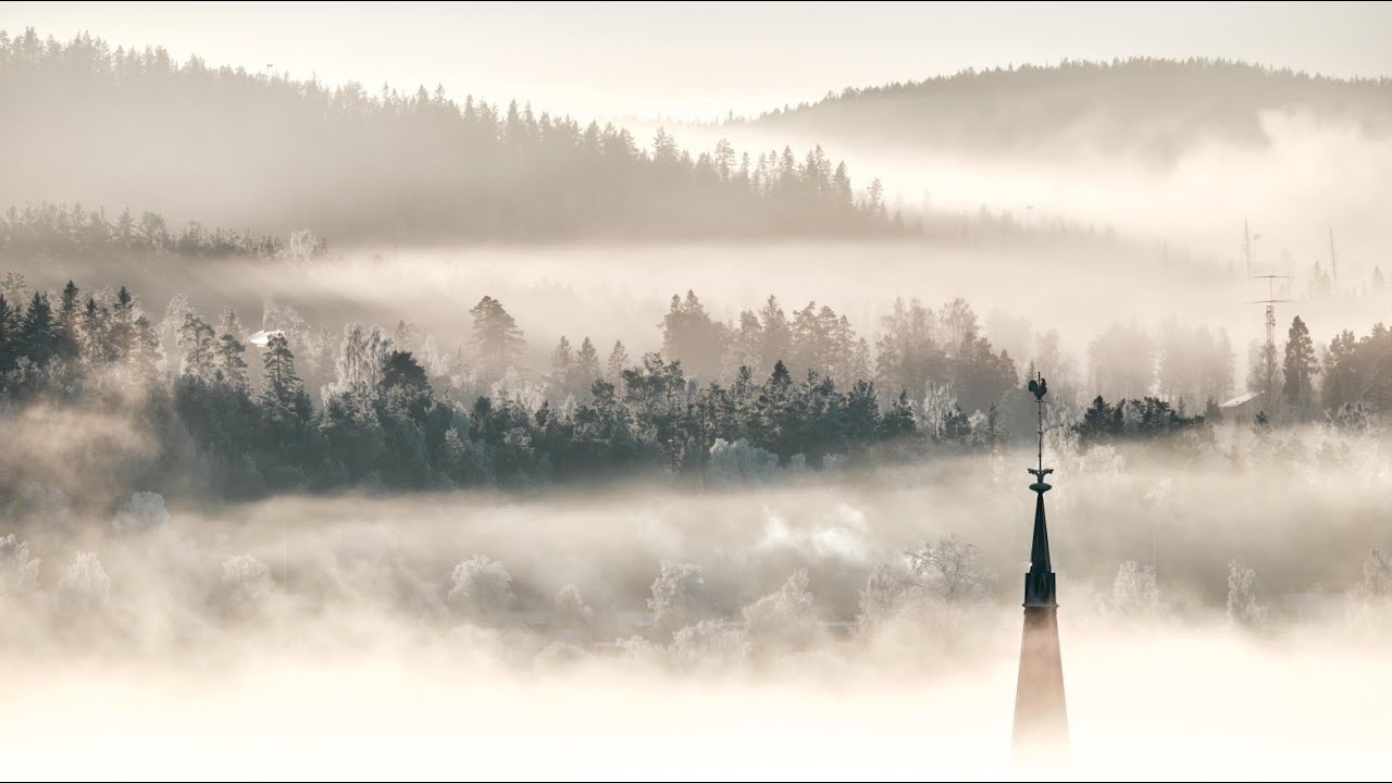 Winter Morning || Peaceful Winter Morning Scenery || Calm Foggy Winter Nature Video  || শীতের দৃশ্য।