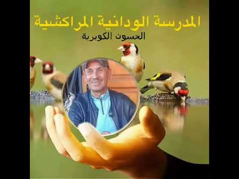 إذا أردت أن تعرف تغاريد وكر جنان حصيرة إستمع لهذا الحسون