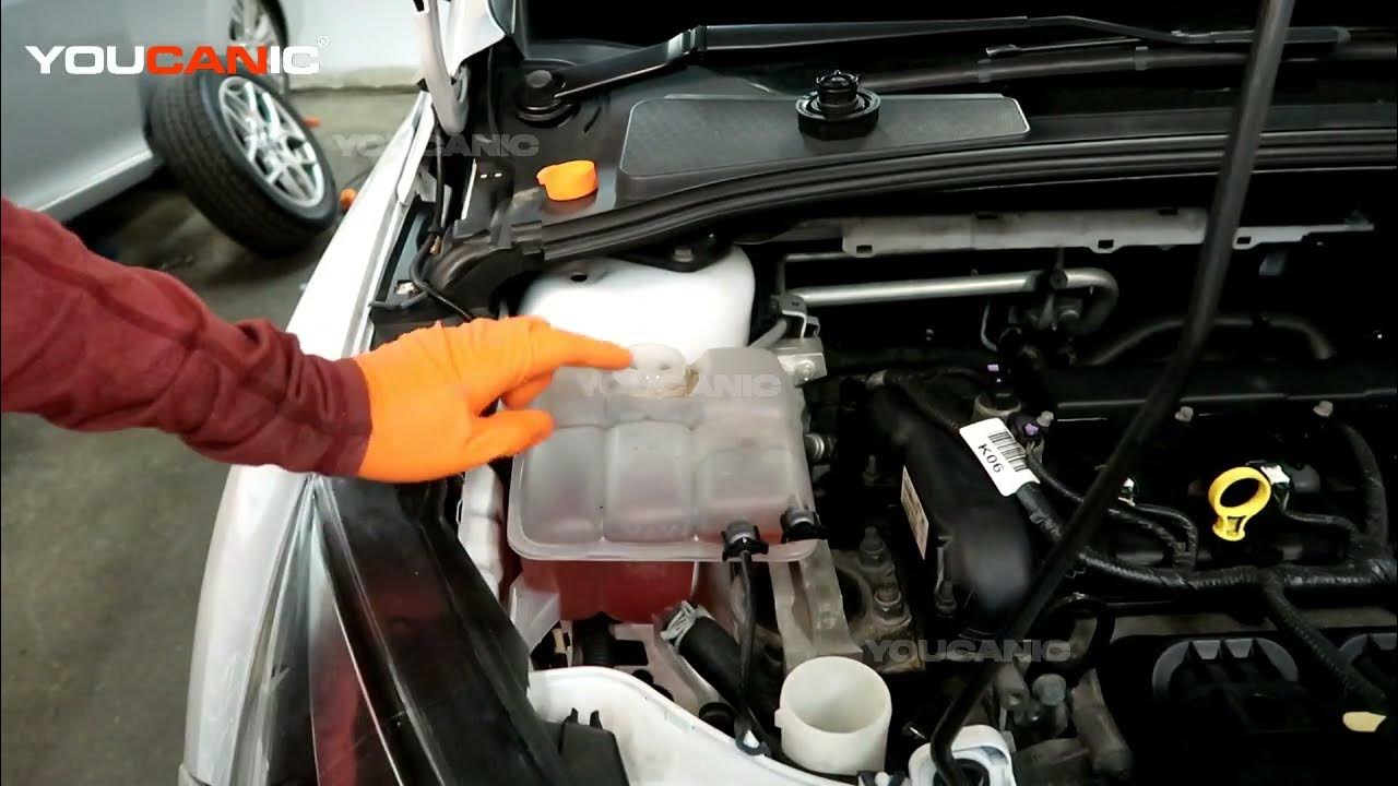 2012-2019 Ford Focus - How to Check and Add Engine Coolant - YouTube