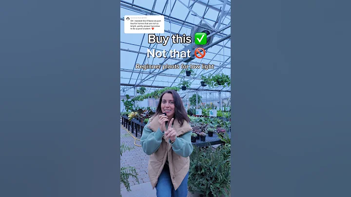 Buy this, not that… lower light tolerant plants #plantcaretips #beginnerplants