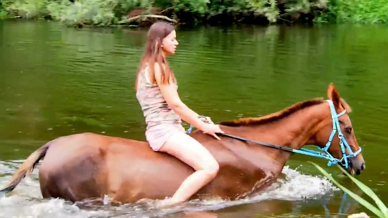 Купание коней в КСК"Вертикаль" - YouTube