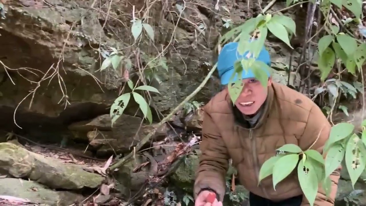 Lên rừng sâu kiếm thức ăn hoang dã 