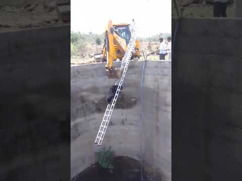 bear rescue #viral #telangana #viralvideo