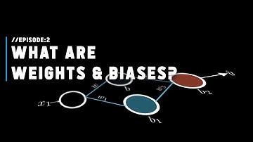 What are weights and biases in  deep learning? | Episode 2, S01, Deep Learning