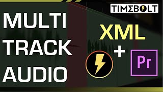 Export Multi-track Audio XML from Timebolt