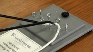 Cambridge Endo's Advanced Laparoscopic Training System