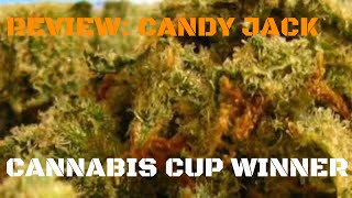 REVIEW: Cannabis Cup Winner - THE DANK CITY - Ep 3 - Candy Jack