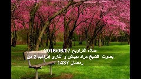 تلاو ة من صلاة التراويح 2016/06/07 بصوت الشيخ مراد دبياش و القارئ إبراهيم 2 من رمضان 1437