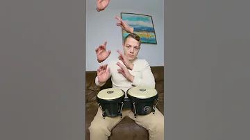 Bongos Bongos Bongos Bongos OddlySatisfying Shorts 