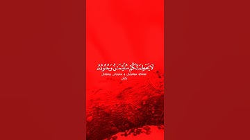 اجمل تلاوة من سورة النمل | اسلام صبحي حالات واتس اب |