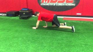 Bear Crawl Forwards & Backwards