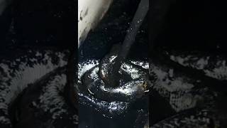 Download Lagu ngerii merinding ular besar pertama kali liat #ngerii ##merinding #videoshorts #berandayoutube #ular MP3