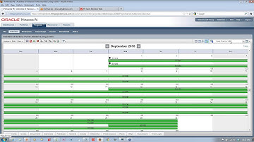 MAY 2012 - REVIEW AND DEMONSTRATION OF P6 EPPM FUNCTIONALITY NOT AVAILABLE IN P6 PRO