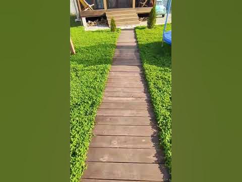 дорожка на пнд трубе, что с ней стало за 5 месяцев эксплуатации - YouTube
