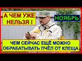 🔴 Чем сейчас ещё можно обработать пчёл от клеща Варроа 🔴