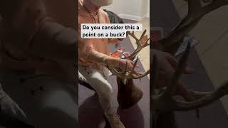 Bucks Expert Reveals Shocking Point Counting Secrets!